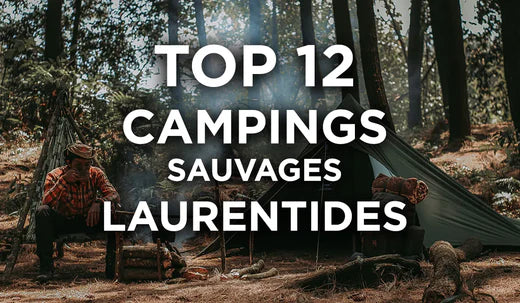 Top 12 des Campings Sauvages dans les Laurentides