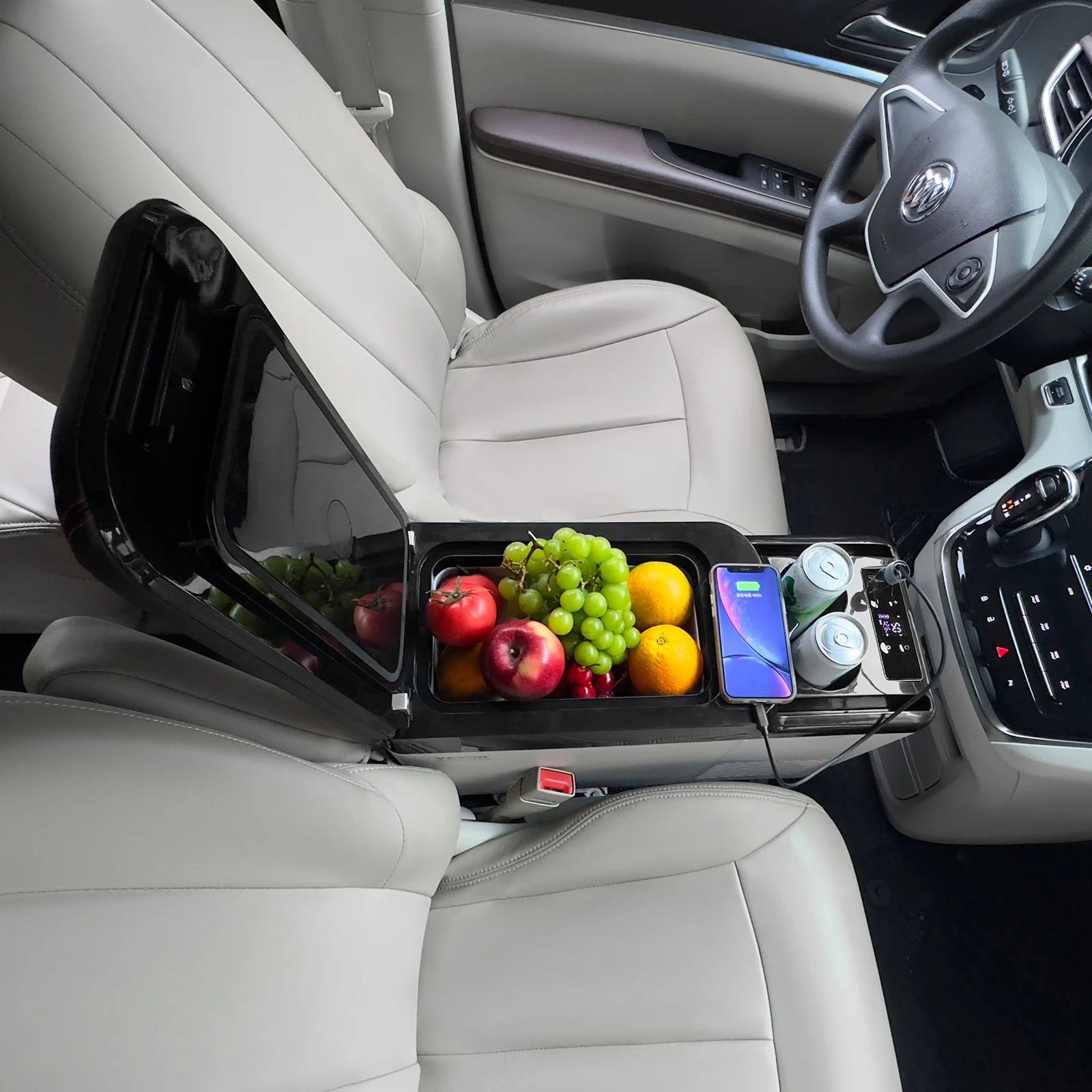 12v portable refrigerator in car