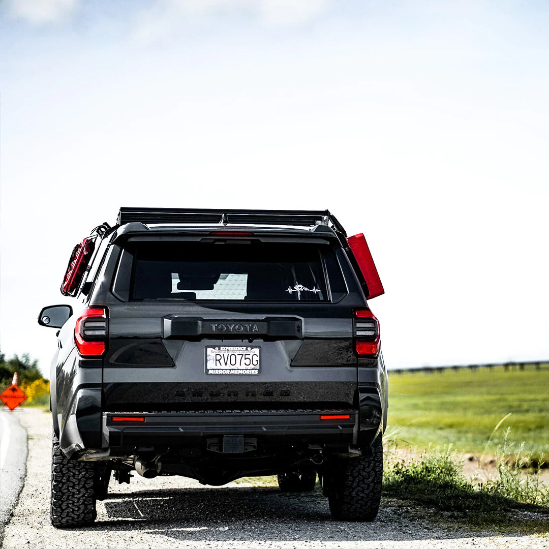 Rear View with a field background