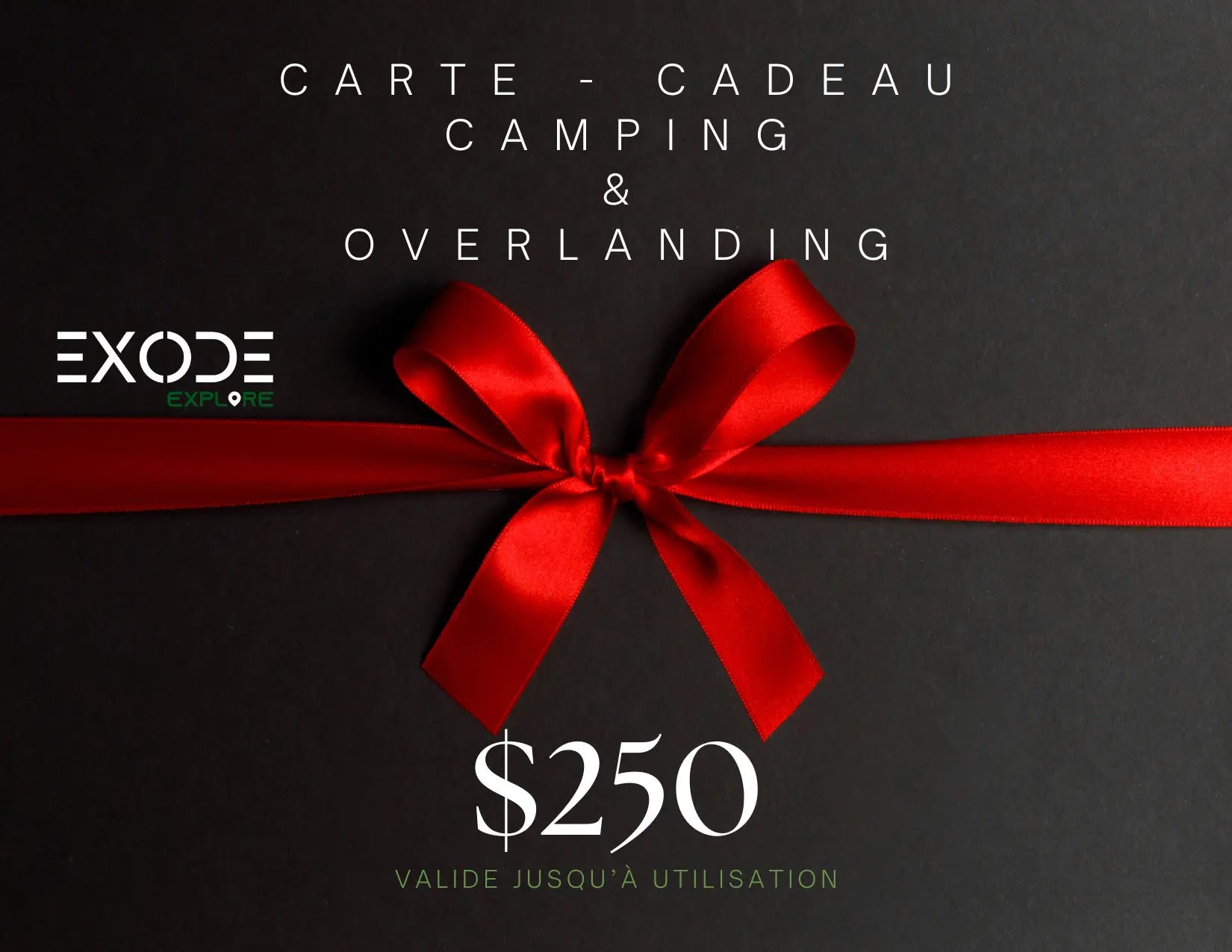 Gift for RV campers 250$