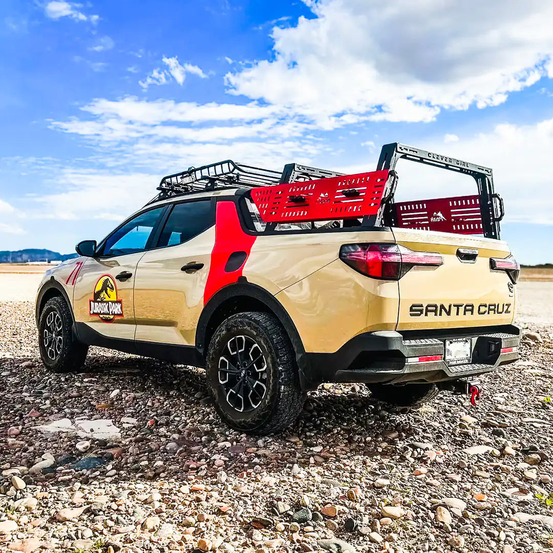 Large view of the bed rack with custom colors