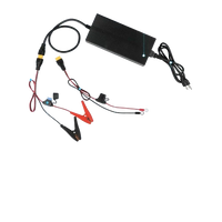 Chargeur de Batterie au Lithium 24V  raccordement facile grâce à des XT60