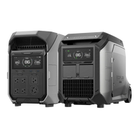 View of the dual fuel generator with a portable power station