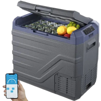 Electric Cooler for Camping in Canada