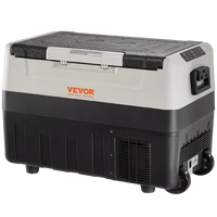 Electric cooler for car