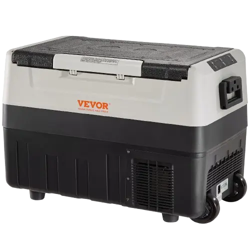 Electric cooler for car