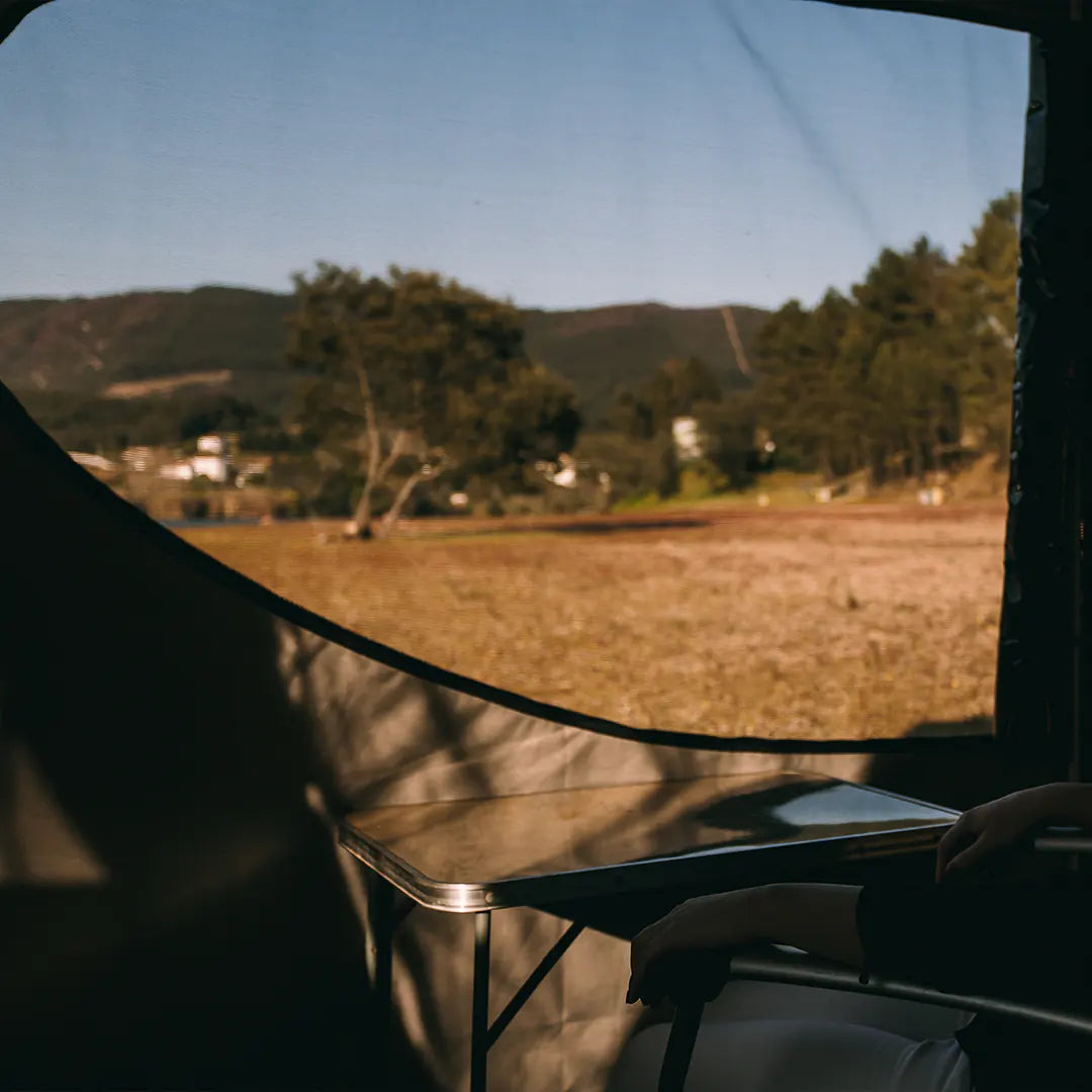 View through the window