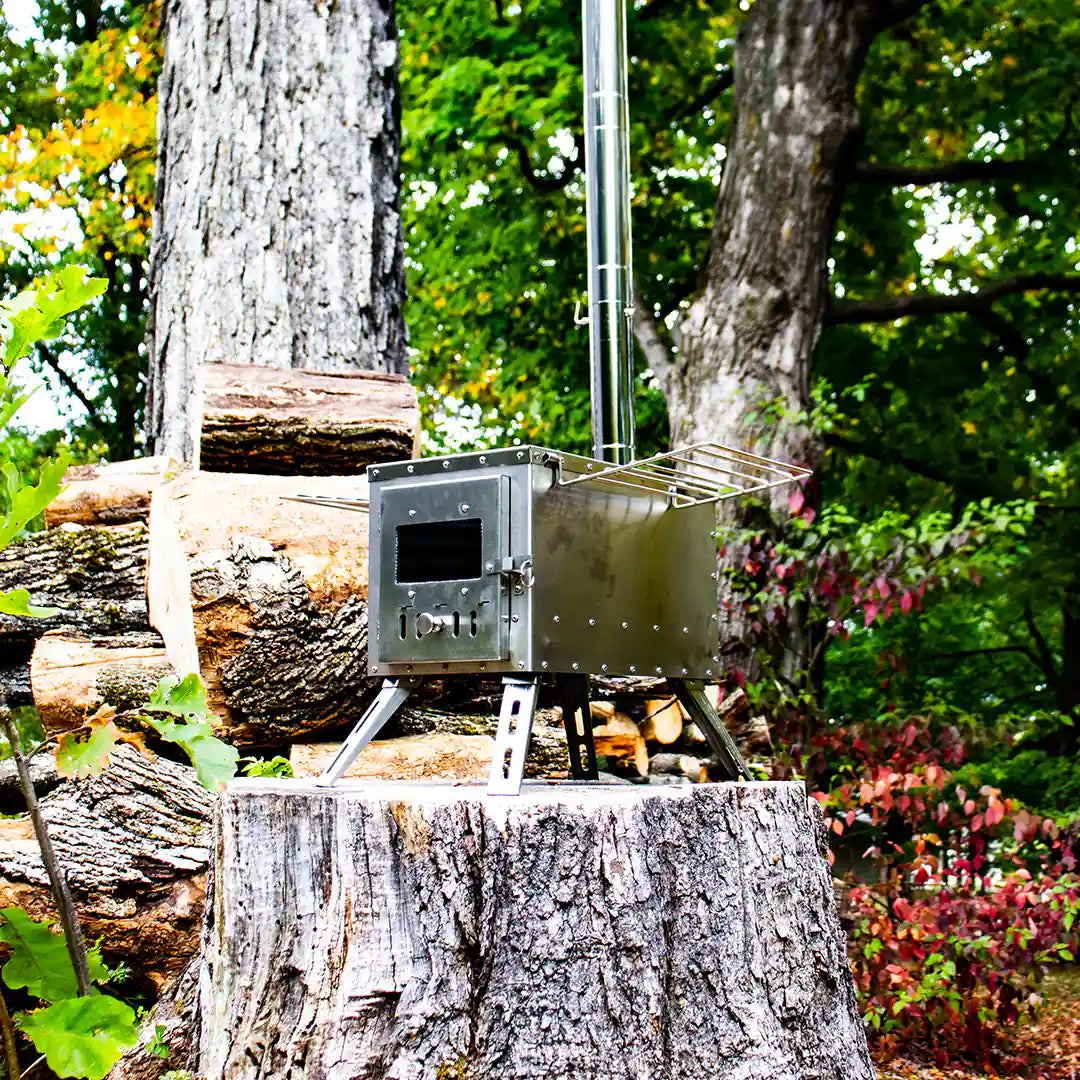 Large view in the forest