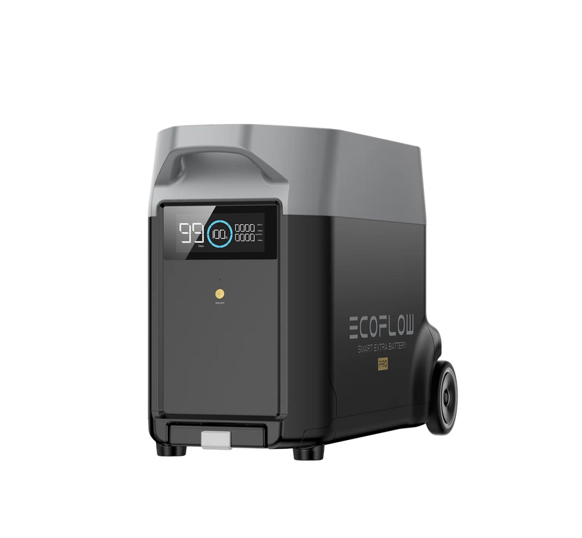 Side view with lcd screen