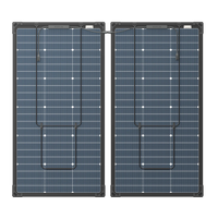 Rear view of bifacial