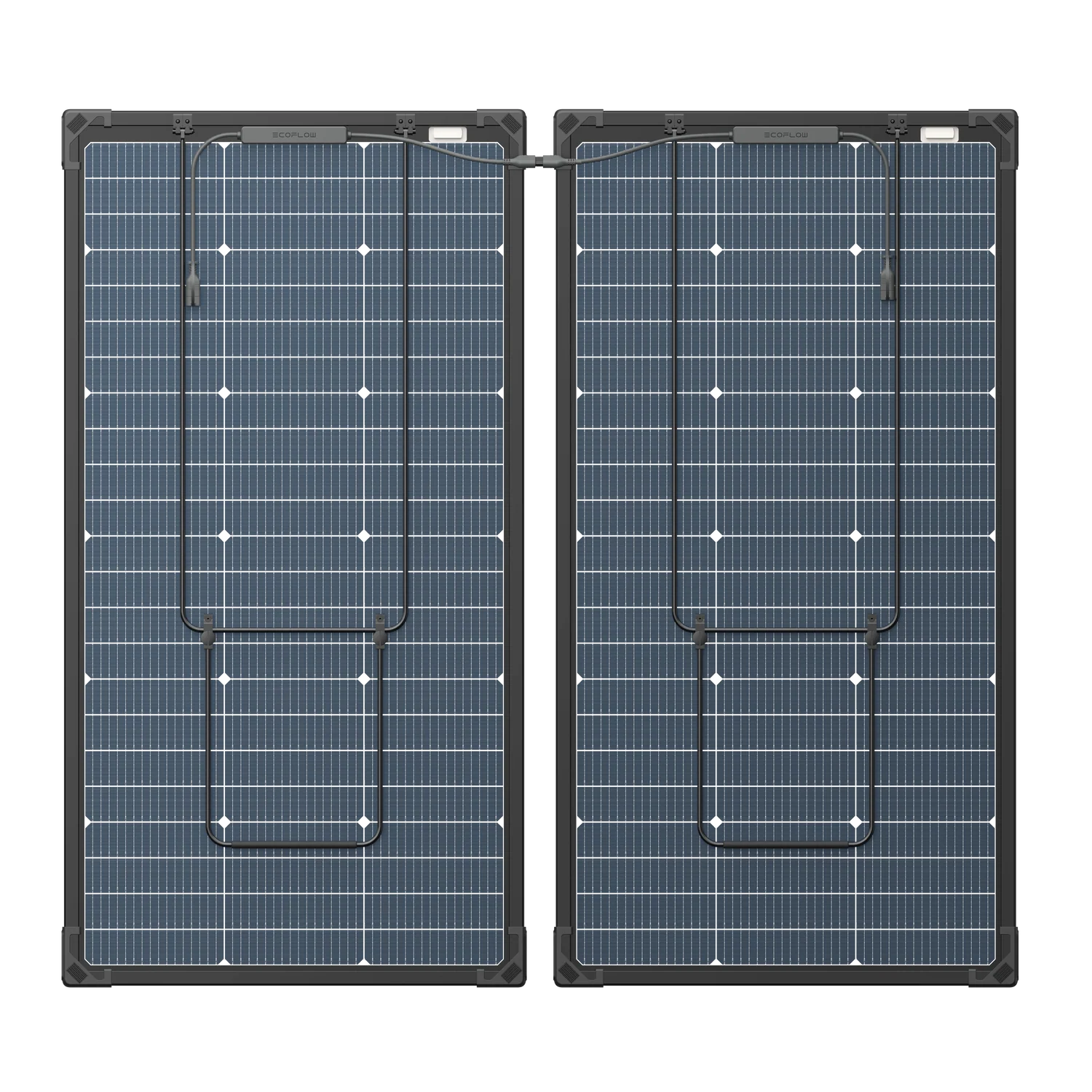 Rear view of bifacial