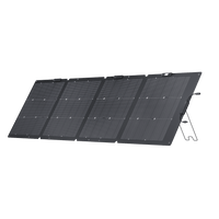 Bifacial solar panel from ecoflow
