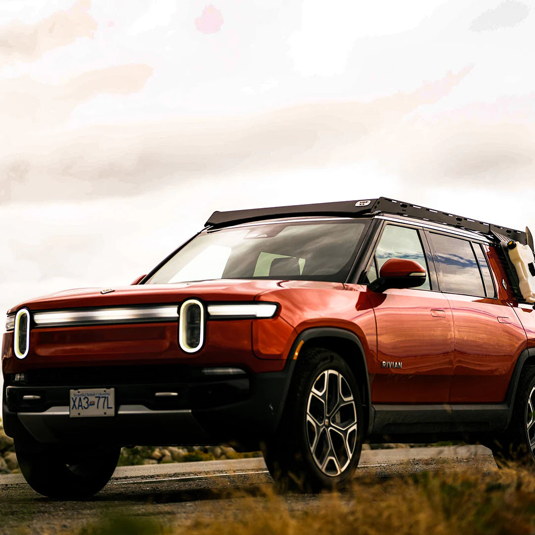 Side view the the side of the road