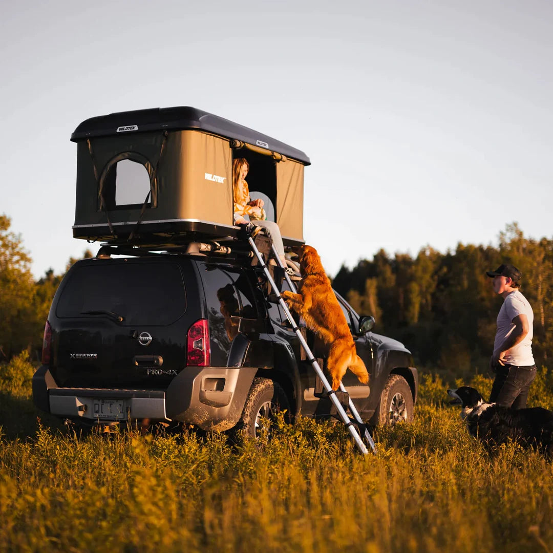 Large view of the dog going in the rooftop tent, with the soft steps ladder