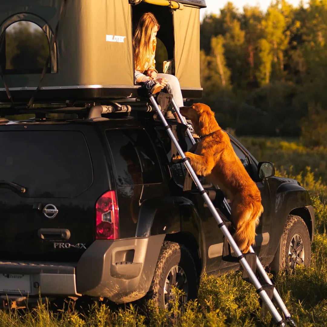 dog rooftop tent Rooftop Tent Ladder Soft Steps for Dogs | Exode Explore – Exode Explore