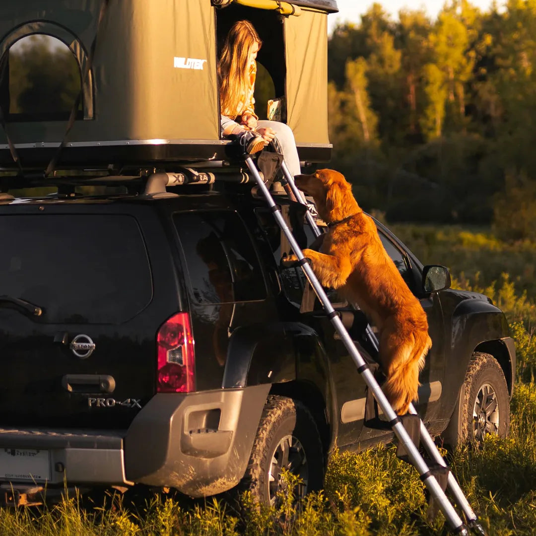 Soft steps for dog going on a roof top tent