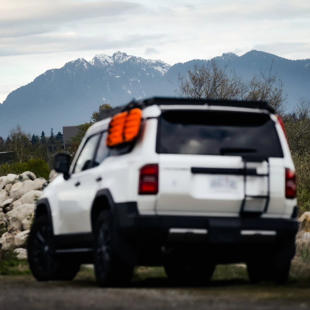 Large view with blur and mountains